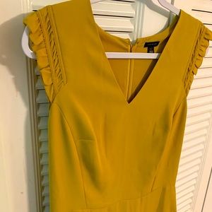 NWT Ann Taylor Dress